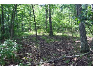 Property photo 30 - 108 +/- Acres Offered in 2 Tracts - Land Auction